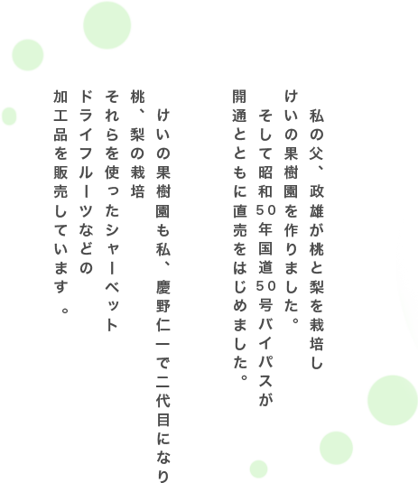 私の父、政雄が桃と梨を栽培し。けいの果樹園を作りました。そして昭和50年国道50号バイパスが開通とともに直売をはじめました。けいの果樹園も私、慶野仁一で二代目になり桃、梨をはじめ、桃、梨シャーベットまた桃、梨ドライフルーツなどの加工品を販売しています 。