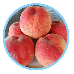 けいの果樹園みずみずしい初秋の味