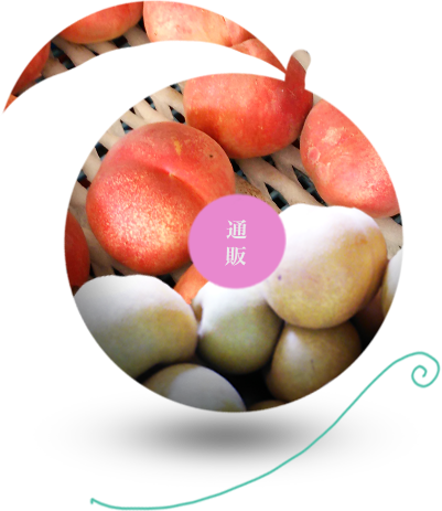 けいの果樹園梨桃通販